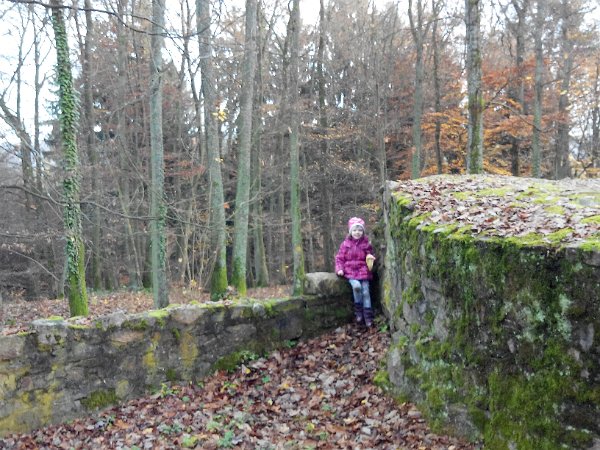 IMG 20141122 150743