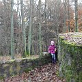IMG 20141122 150743