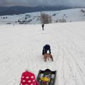 IMG 20141226 150532