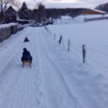 IMG 20150202 155446
