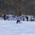 DSC3006
