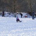 DSC3007