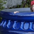 DSC2769