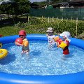 DSC1884