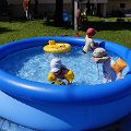 DSC1888