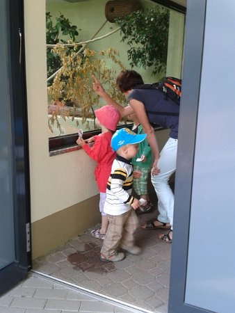 IMG-20140806-WA0006