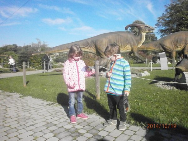 IMG-20141019-WA0001