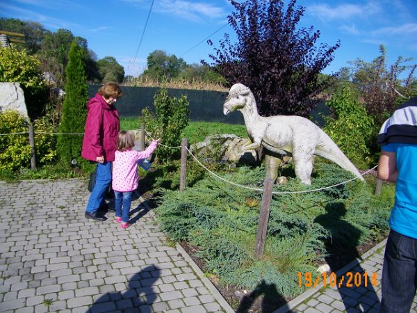 IMG-20141019-WA0011