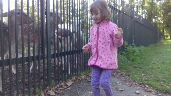 IMG 20141021 145632