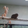 IMG-20140806-WA0004