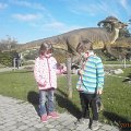 IMG-20141019-WA0001