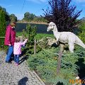 IMG-20141019-WA0011