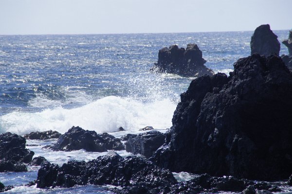  DSC3789