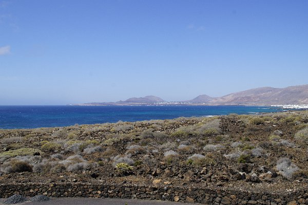  DSC3976