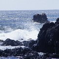 DSC3789