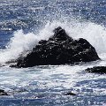 DSC3790