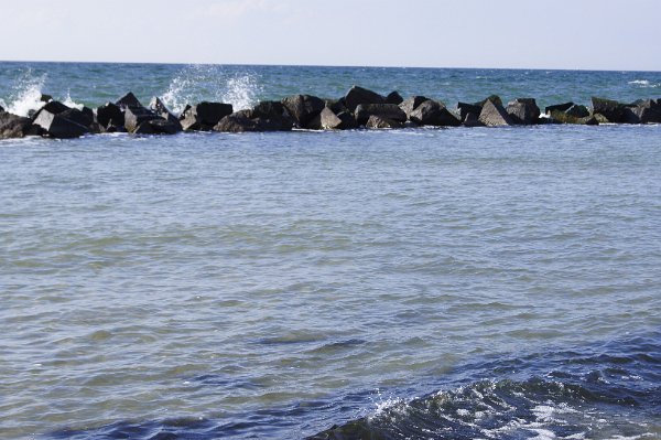 DSC1482