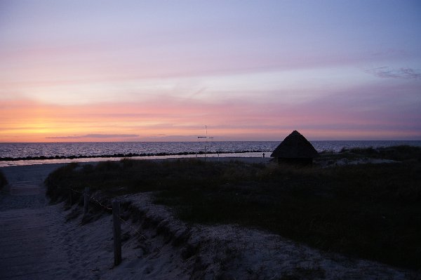  DSC1488