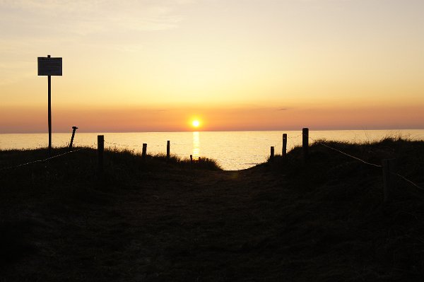  DSC1598