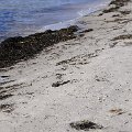 DSC1480