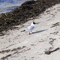 DSC1481