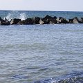 DSC1482