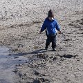 DSC1487