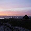 DSC1488