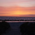 DSC1491
