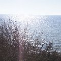 DSC1596