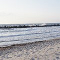 DSC1634
